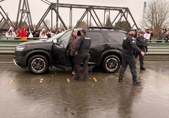 Ferndale bridge incident