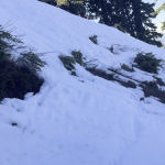 snow covered hillside