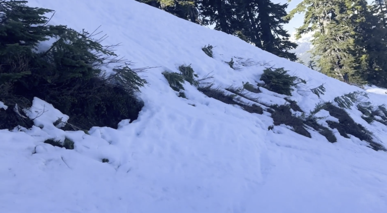 snow covered hillside
