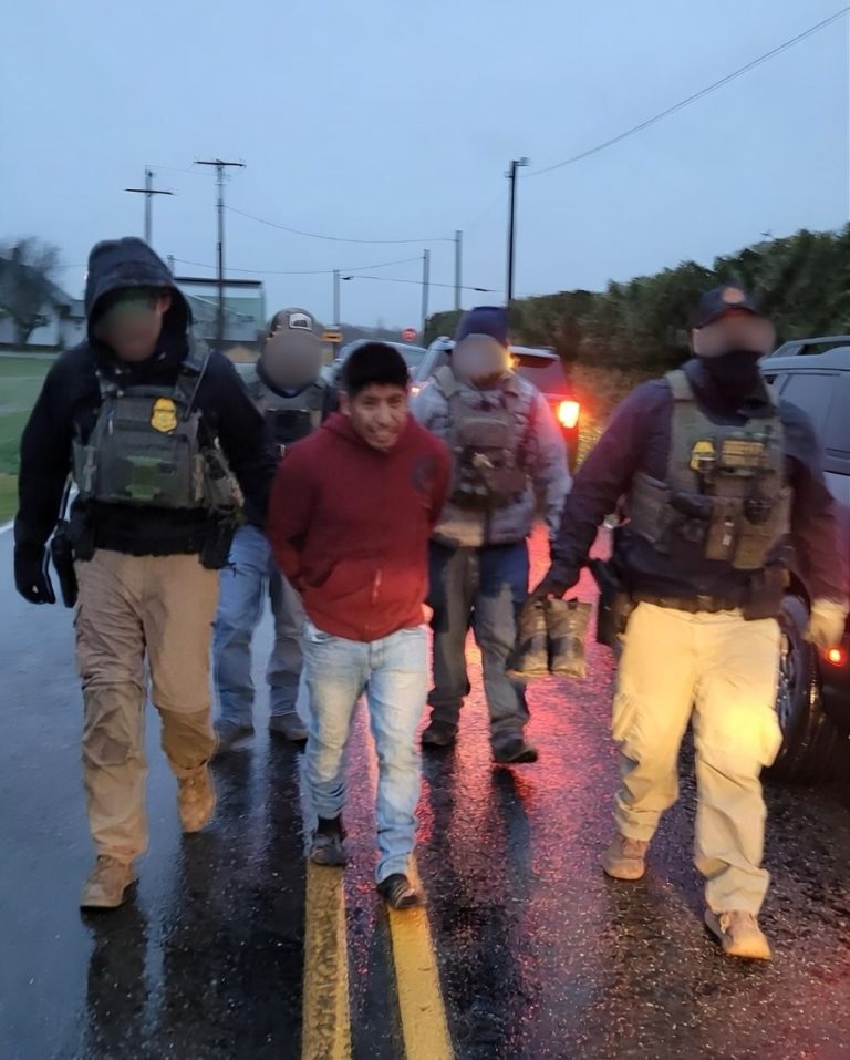Border Patrol Arrest