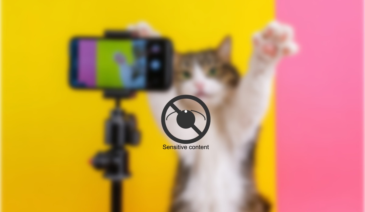 TikTok Disruptions Follow Ownership Transition and New Terms Rollout