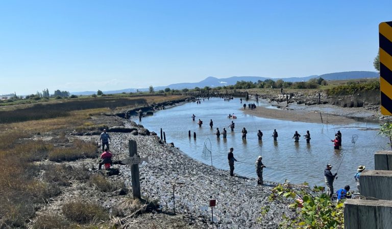 Anglers standing shoulder to shoulder in shallow water on the Samish River, fishing during low tide with multiple people using long rods and nets along muddy banks and exposed pilings