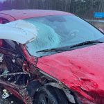 Red car heavily damaged after wrong-way crash on Interstate 5 near Birch Bay in Whatcom County with Washington State Patrol vehicle at the scene.