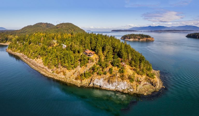 Guemes Island shoreline in Skagit County, where more than 20 dead dogs have been found as investigators work to determine the cause and origin.