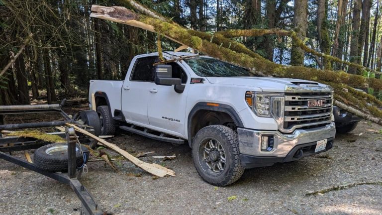 A maple branch crushed a parked truck at the Lake Padden boat launch