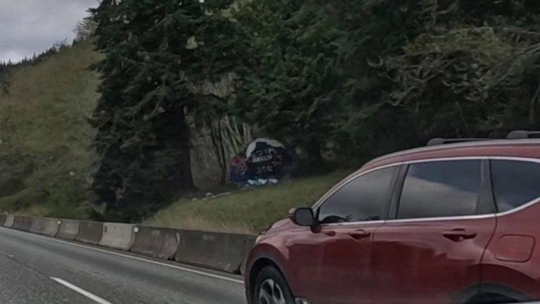 Bellingham rock along I-5 in April before being destroyed by WSDOT