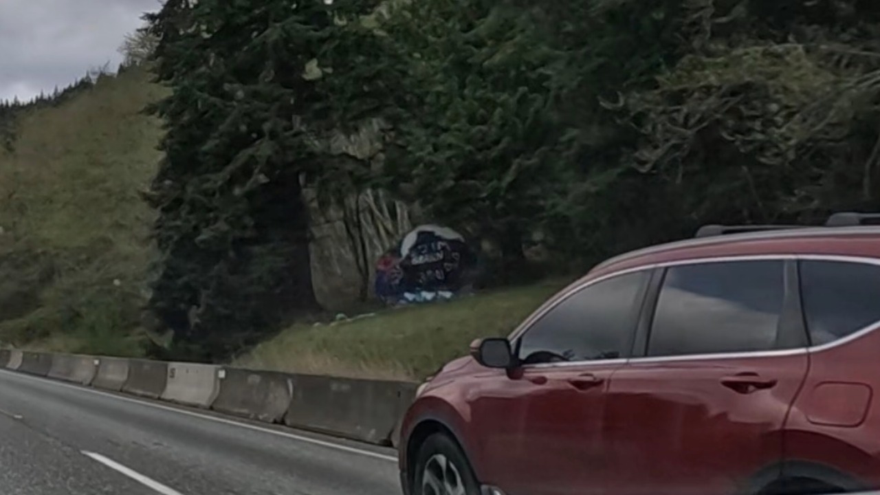Bellingham rock along I-5 in April before being destroyed by WSDOT