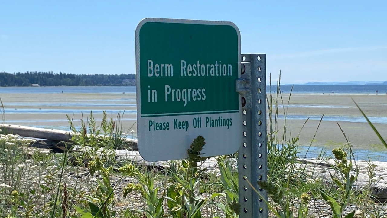 Berm is the word