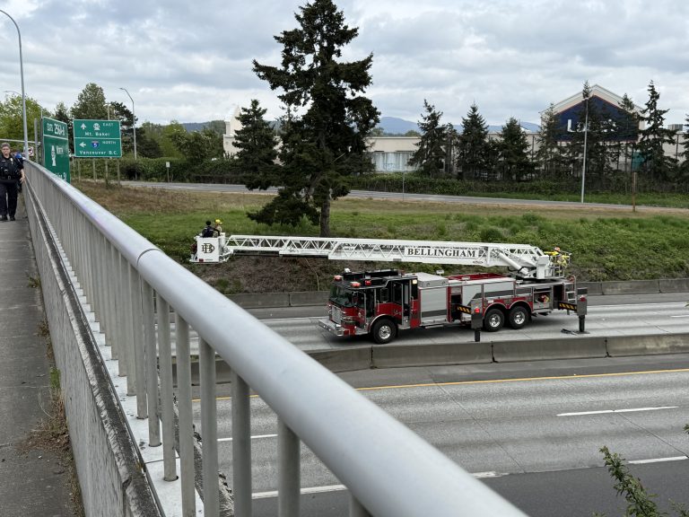 Fire Truck I-5