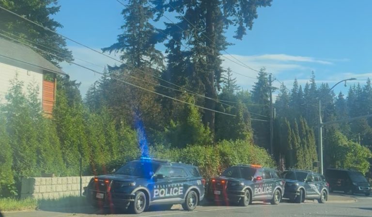 BPD Cruisers line up on Lakeway Drive