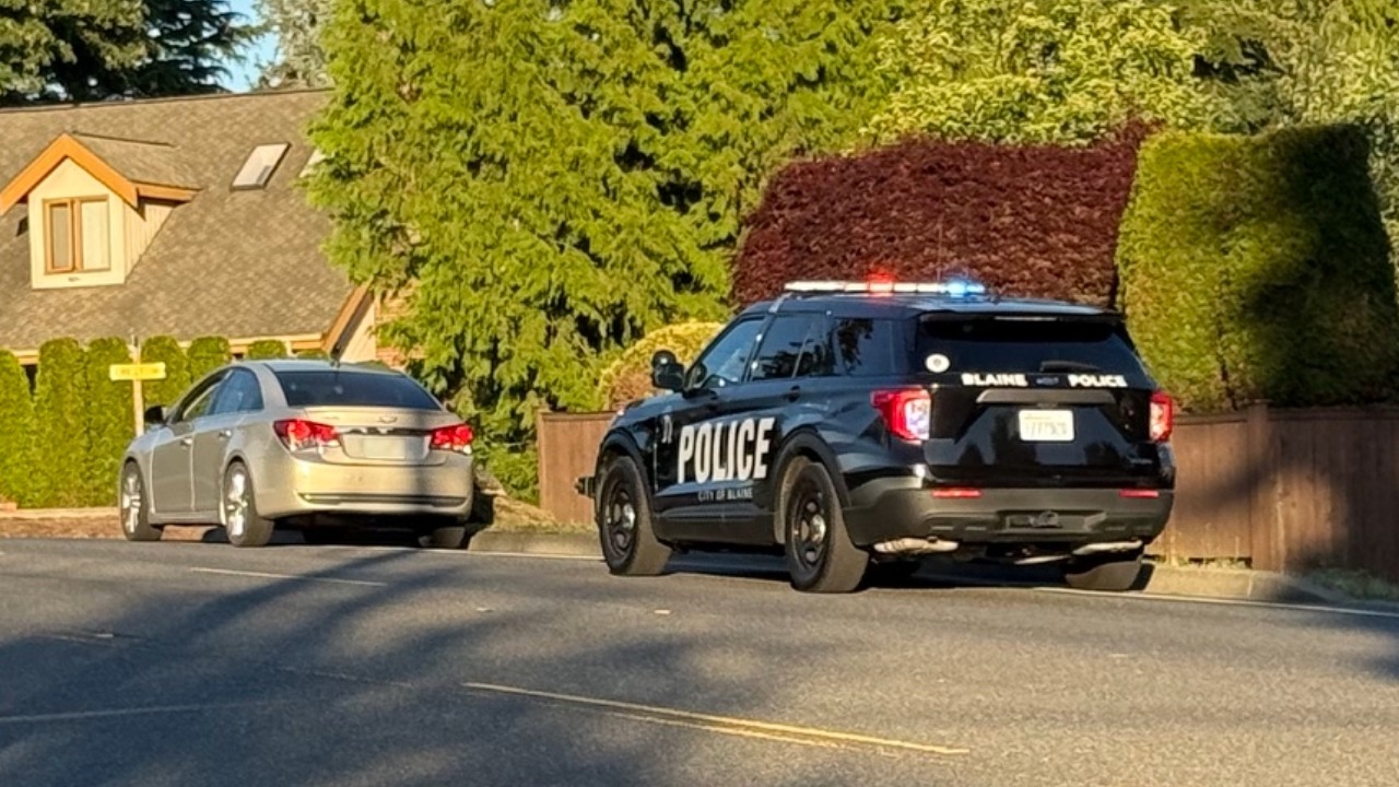 Blaine Police Department traffic stop