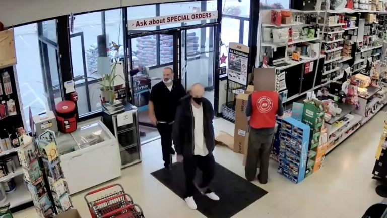 Ferndale police are asking for the public's help identifying two suspects in a theft at Ace Hardware on June 8.