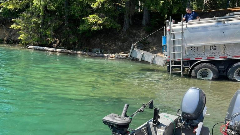 A tanker truck releases sockeye into Baker Lake at the Swift Creek launch on July 13, 2023. Adult sockeye are trapped below the Baker River dams and trucked upstream to the lake each summer as part of the cooperative recovery program between WDFW, the Upper Skagit Indian Tribe, the Swinomish Indian Tribal Community and Puget Sound Energy.
