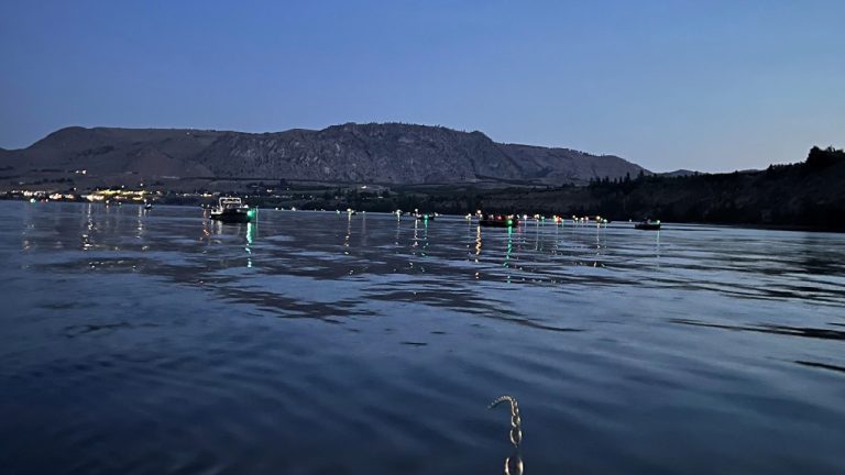 The next week could determine whether Washington's Columbia sockeye run is late or a bust as Bonneville Dam counts drive decisions on Brewster and Upper Columbia fisheries.