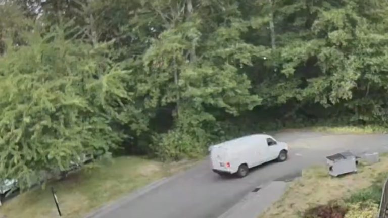 Security footage obtained by PNW Daily shows a white van near the scene minutes before a Border Patrol agent shot an armed suspect Tuesday in Blaine. Witnesses describe what they saw.