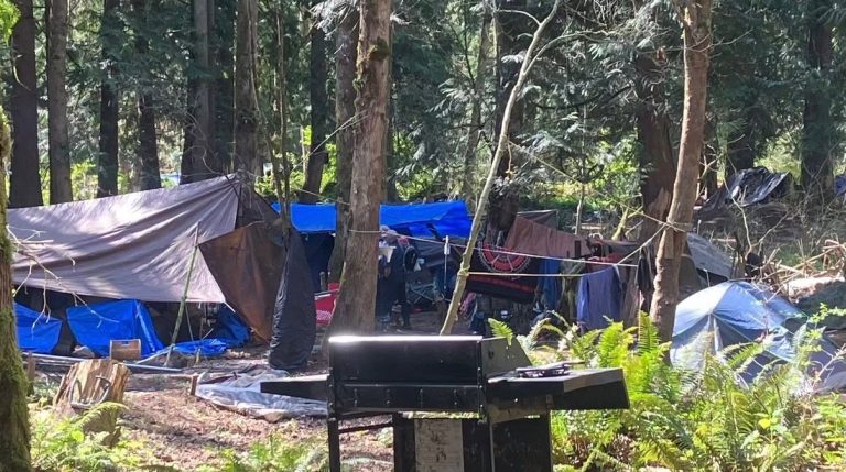 Whatcom County counted 840 people experiencing homelessness in 2026 as agencies prepare to clear a large encampment near Walmart in north Bellingham.