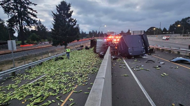 An overturned commercial truck and its load of corn cover the southbound Interstate 5 exit to Thorne Lane early Thursday in Pierce County. The Washington State Patrol blamed drowsy driving for the crash.