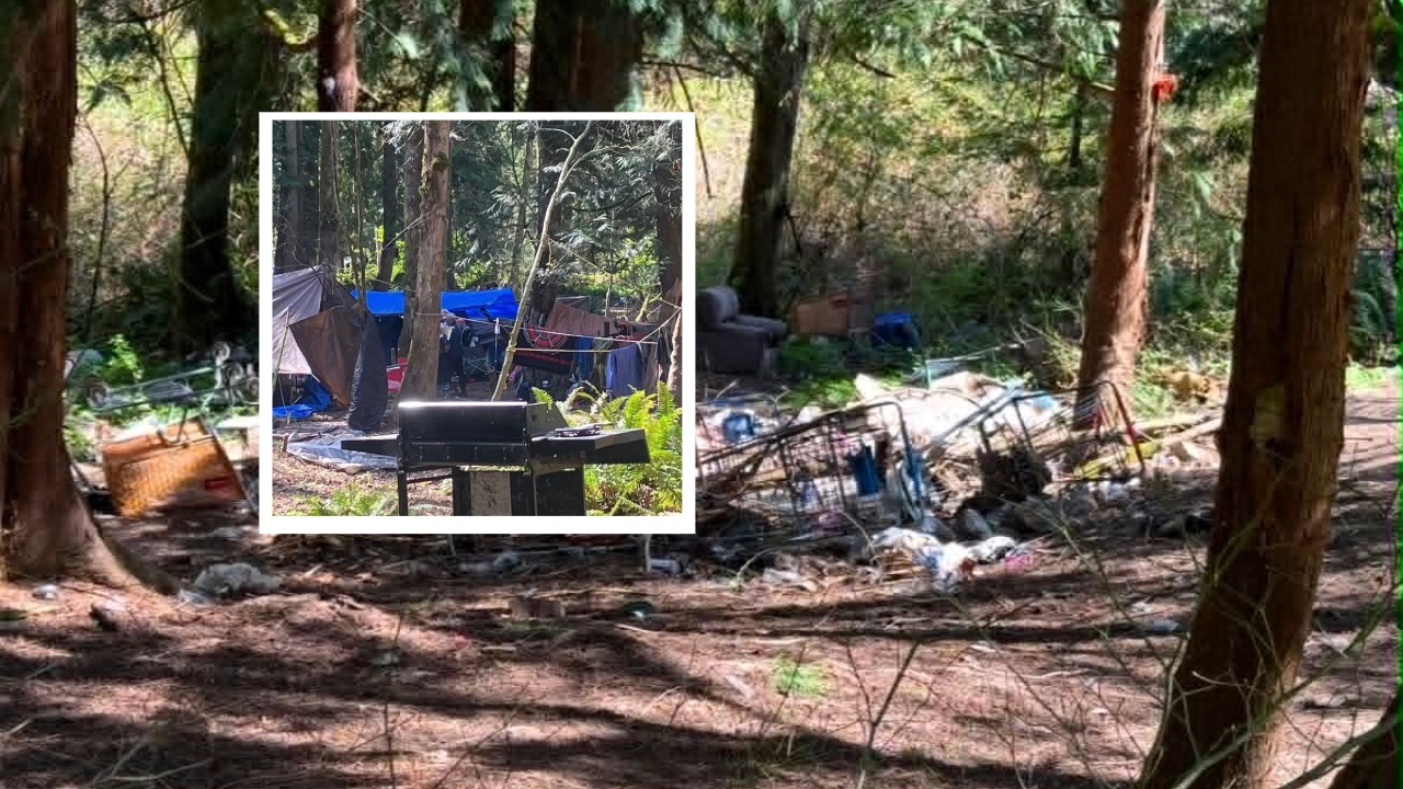 A King Mountain resident who says she was threatened with a knife is challenging a petition asking Bellingham to delay encampment enforcement.