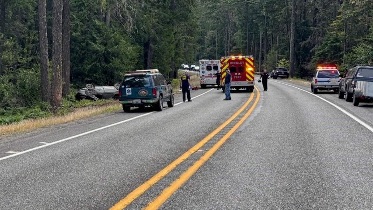 Passenger Dies After Car Strikes Tree on SR 410