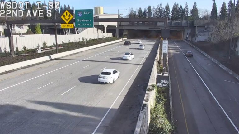 An SUV struck the pedestrian outside the Mount Baker Tunnel early Sunday. The collision blocked the roadway for nearly two hours.