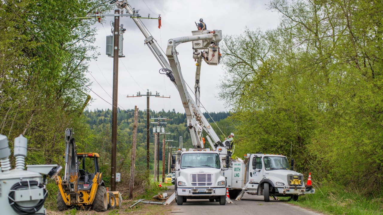 Puget Sound Energy crews replace wooden utility poles with fiberglass poles and install tree wire during a reliability project in Carnation. PSE says the specialized wire can reduce outages caused by falling branches by more than 95%.