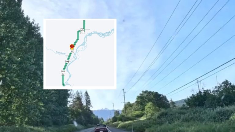 Three teenagers suffered injuries after a car left Mount Baker Highway near Hatchery Road, struck a utility pole and rolled into a field near Deming.