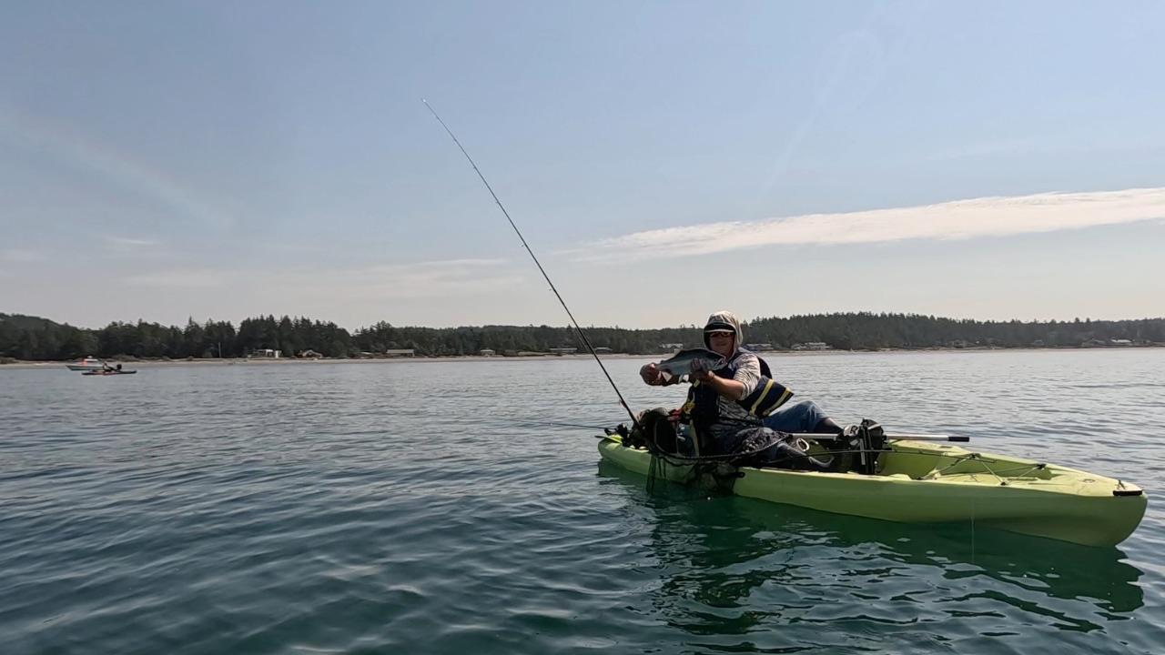 Chris Hamilton of Yeager's Sporting Goods holds up a salmon caught off Whidbey Island. Marine Area 9 opens for three days this week, July 16, 17, and 18 for hatchery chinook.