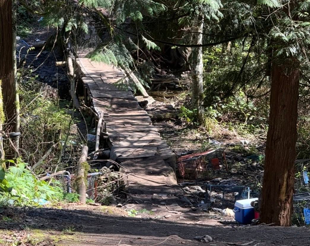 A damaged wooden footbridge and debris along the Whatcom Creek corridor