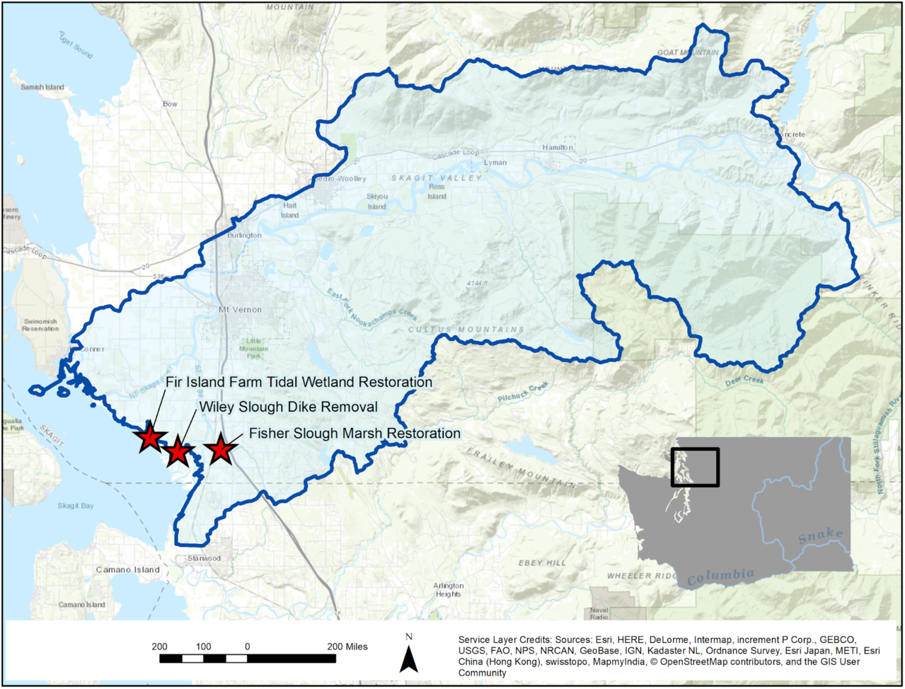 Map of the Skagit River watershed showing the locations of three completed estuary restoration projects near Fir Island: Fir Island Farm Tidal Wetland Restoration, Wiley Slough Dike Removal, and Fisher Slough Marsh Restoration.