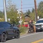 Whatcom County Sheriff's deputies take a man into custody near the scene of a crash on Birch Bay Lynden Road Monday.