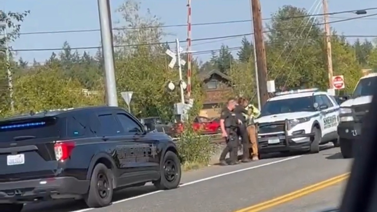Whatcom County Sheriff's deputies take a man into custody near the scene of a crash on Birch Bay Lynden Road Monday.