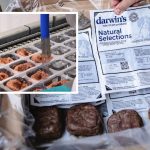 Packages of Darwin's raw dog food, shown alongside images of the company's Tukwila production line, are the subject of a new DOJ lawsuit alleging repeated bacterial contamination.