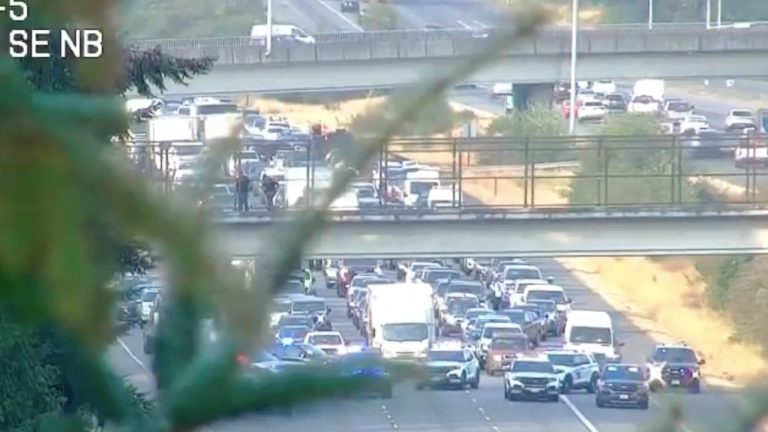 All lanes of I-5 near Everett were briefly closed after a man climbed onto an overpass ledge Friday morning. He was arrested afterward.