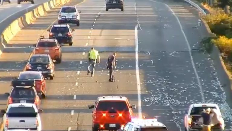 A truckload of soda cans spilled across northbound I-5 at Iowa Street in Bellingham. Crews cleared the road in about 45 minutes with no injuries.
