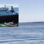 An orca surfaces in Bellingham Bay moments after Bellingham SWAT officers wrapped up ferry training with the U.S. Coast Guard.