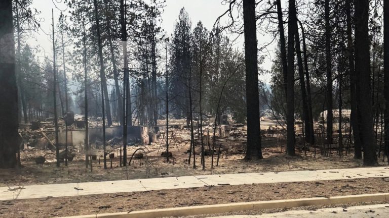 At least 600 structures have been damaged or destroyed by the Spokane Complex fires. FEMA has approved firefighting grants, while Washington seeks broader federal emergency assistance.