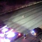 A 33-year-old Seattle woman died after climbing out of a moving vehicle on I-5 near Federal Way, where a second vehicle struck her, WSP said.