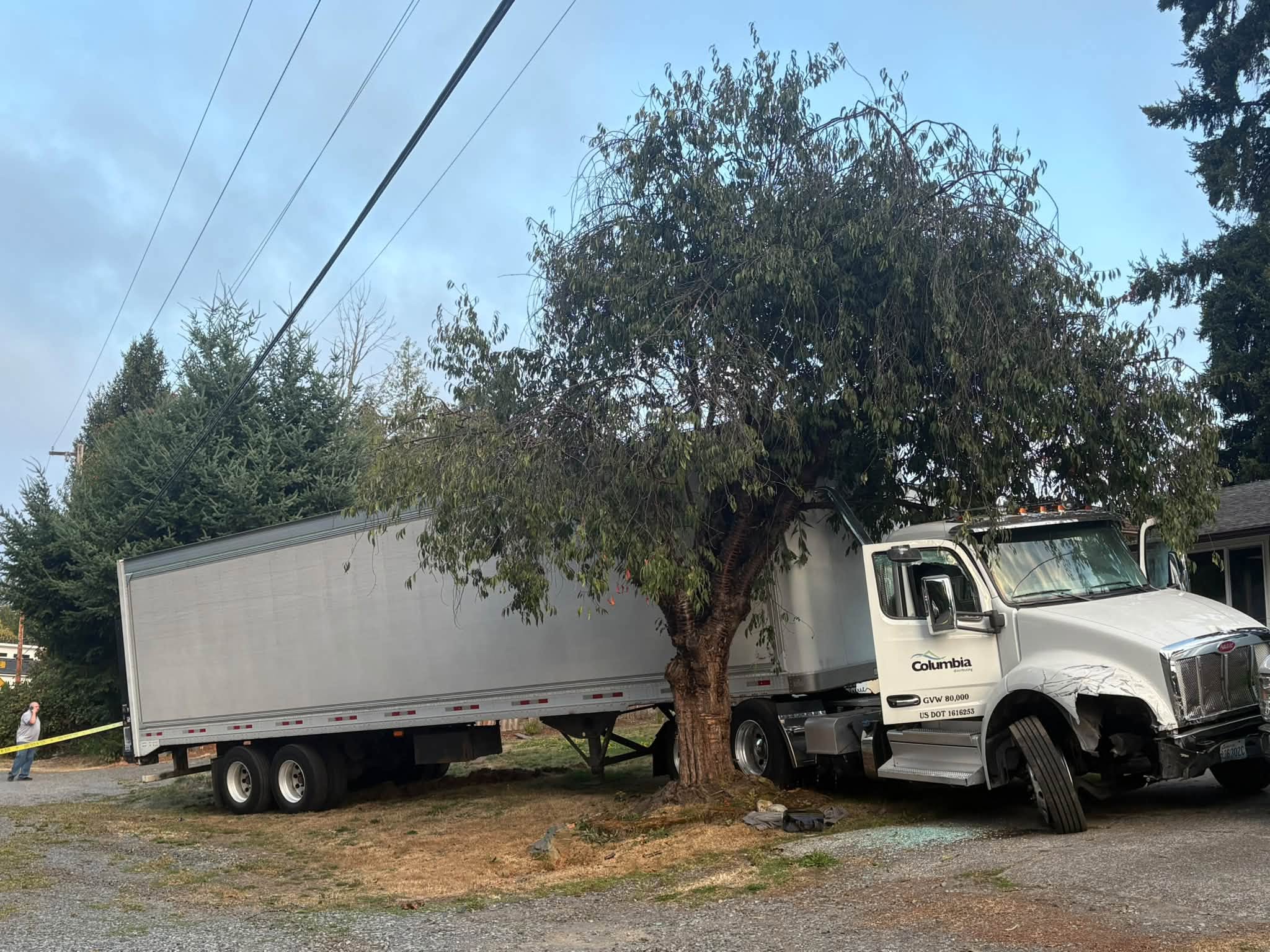 The stolen Columbia Distributing semi-truck came to rest against a tree at the end of the pursuit, its front end damaged in the collisions along the way.