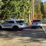 Whatcom County sheriff’s deputies and tactical units respond to a standoff at a residence in the 7700 block of Maple Drive in Maple Falls on Saturday, Oct. 17.