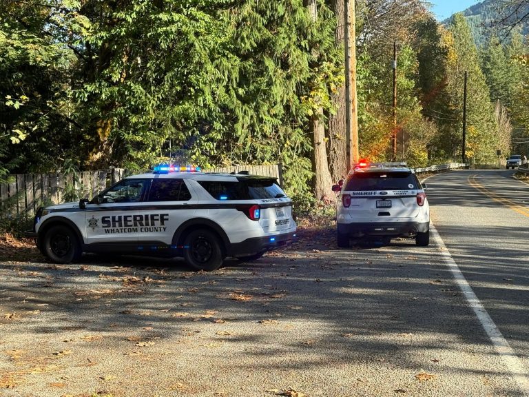 Whatcom County sheriff’s deputies and tactical units respond to a standoff at a residence in the 7700 block of Maple Drive in Maple Falls on Saturday, Oct. 17.