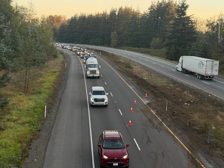 Washington State Patrol and local law enforcement respond to a hit-and-run collision on southbound Interstate 5 near Grandview Road.